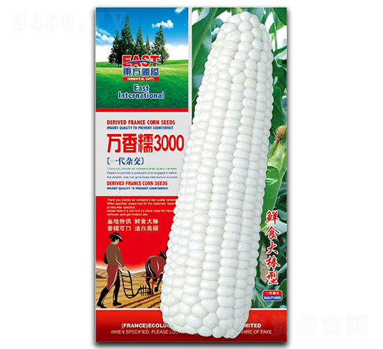 萬香糯3000-糯玉米種子-祥瑞達