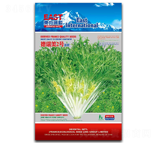 德瑞美2號(hào)-苦苣種子-祥瑞達(dá)