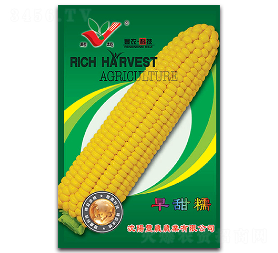 早甜糯-糯玉米種子-豐農農業
