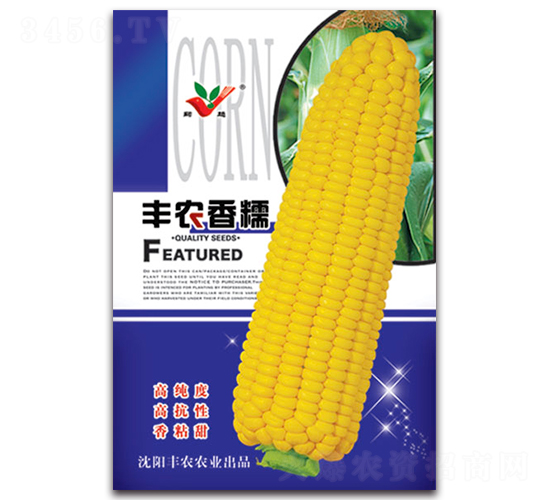 豐農香糯-糯玉米種子-豐農農業