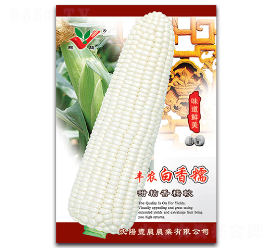 豐農白香糯-糯玉米種子-豐農農業