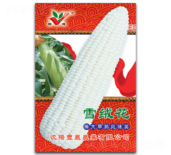 雪絨花-糯玉米種子-豐農農業