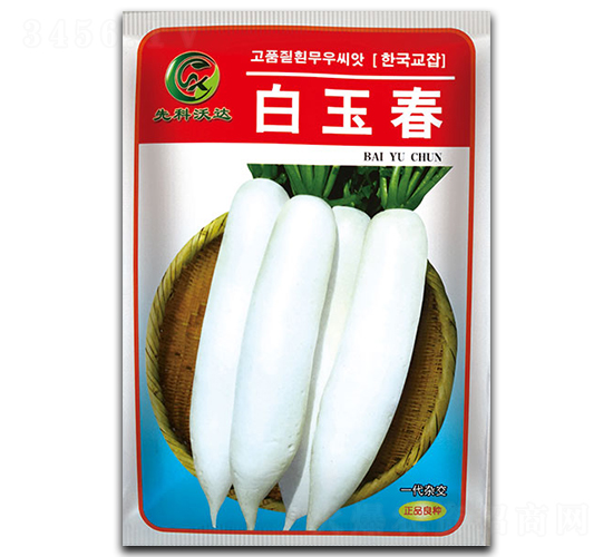 白玉春-白蘿卜種子-祥瑞達