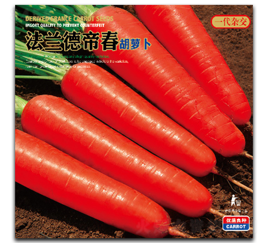 æ³•è˜­å¾·å¸æ˜¥-èƒ¡è˜¿åœç¨®å­-ç¥¥ç‘žé”
