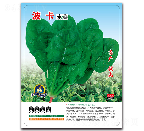 波卡菠菜-菠菜種子-多美農