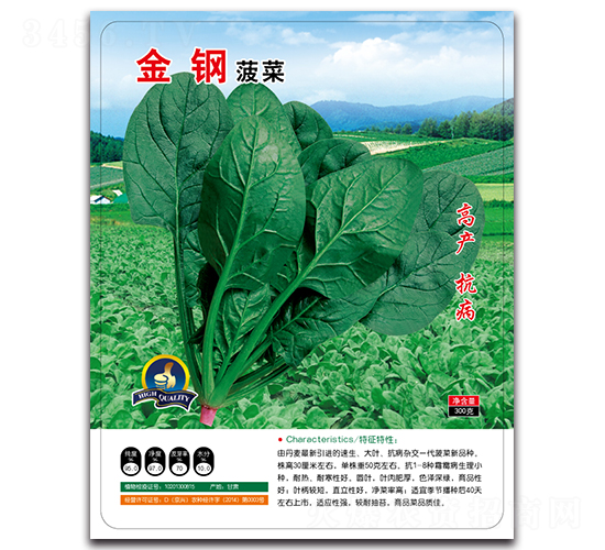 金鋼菠菜-菠菜種子-多美農