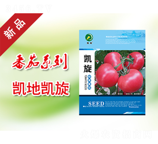 凱旋-番茄種子-凱地農業