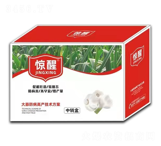 大蒜防病高產技術方案-驚醒-大澤農業