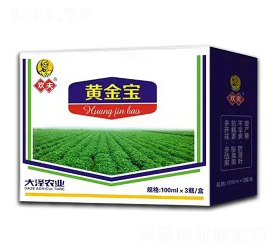花生高產解決方案-歡夫·黃金寶-大澤農業