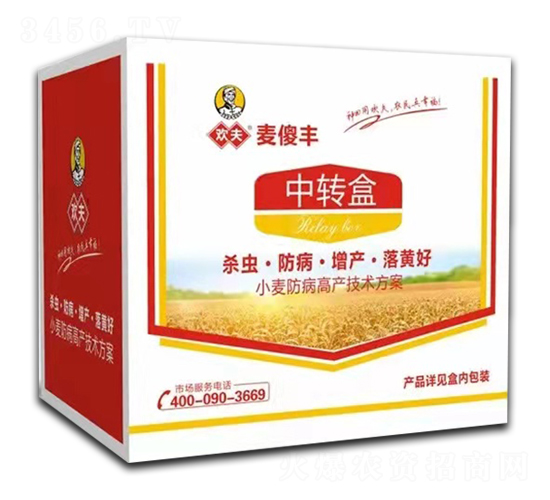 小麥防病高產技術方案-歡夫·麥傻豐-大澤農業