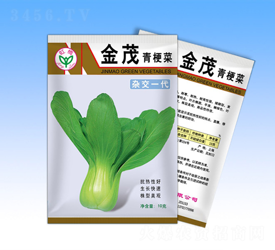 金茂-青梗菜種子-天龍種業