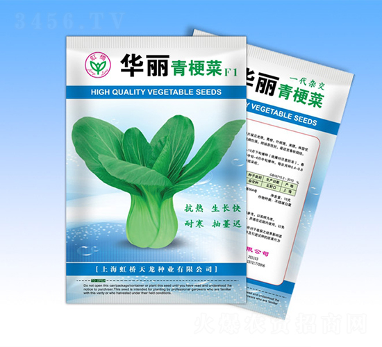華麗-青梗菜種子-天龍種業