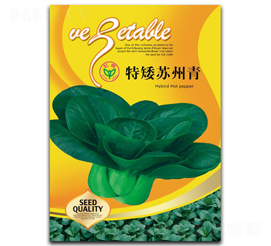 特矮蘇州青-青梗菜種子-天龍種業