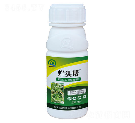 瓜類爛頭黑星速溶劑-爛頭幫-強(qiáng)農(nóng)生物