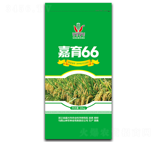 嘉育66-水稻種子-神農種業