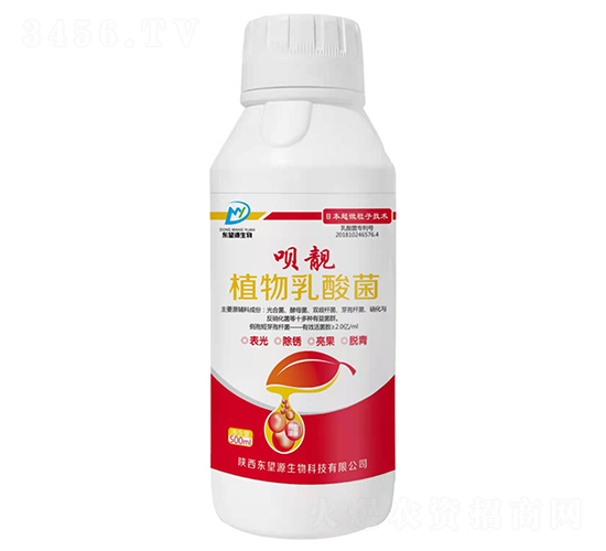 植物乳酸菌-唄靚-東望源生物