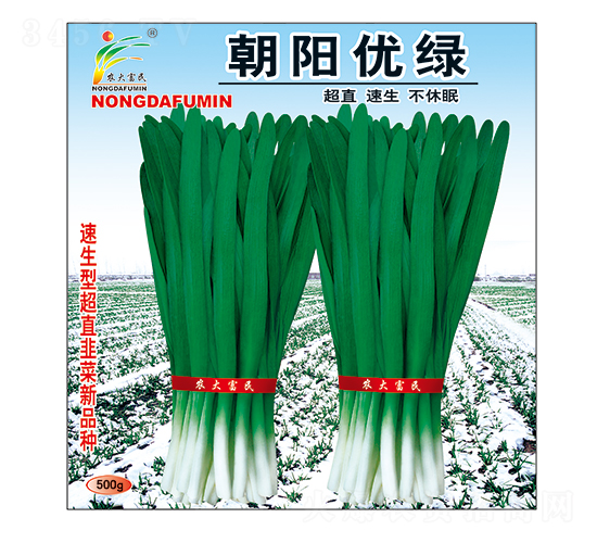 朝陽優綠-韭菜種子-農大富民