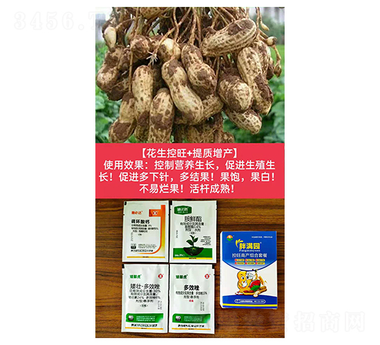 【花生控旺+提質增產】-胖滿園-糧滿噸