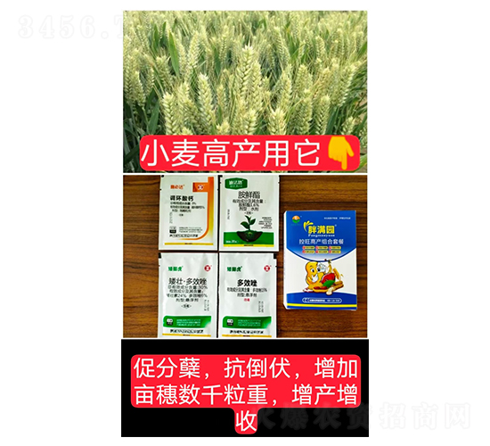 控旺高產(chǎn)組合套餐（小麥專(zhuān)用）-胖滿(mǎn)園-糧滿(mǎn)噸