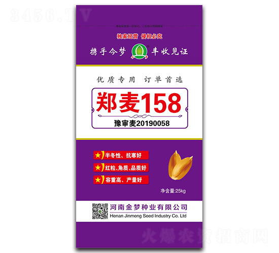 鄭麥158-小麥種子（25kg）-金夢種業