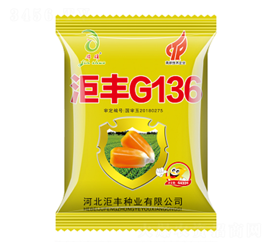 洰豐G136-玉米種子-洰豐種業