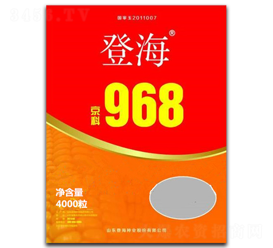 京科968-玉米種子-懇豐農業