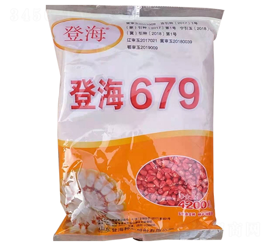 登海679-玉米種子-懇豐農業