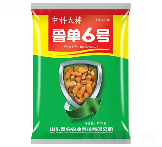 魯單6號-玉米種子-懇豐農(nóng)業(yè)