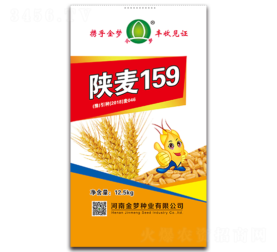 陜麥159-小麥種子-金夢種業