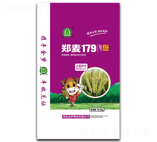 鄭麥179（12.5kg）-小麥種子-金夢種業