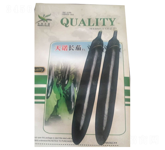 天諾長茄F1-茄子種子-酒玉種業