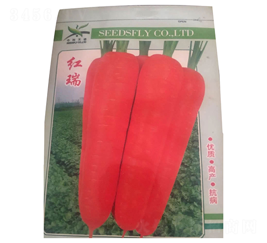 紅瑞-紅蘿卜種子-酒玉種業