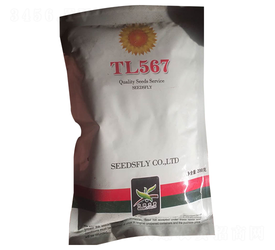 TL567向日葵種子-酒玉種業