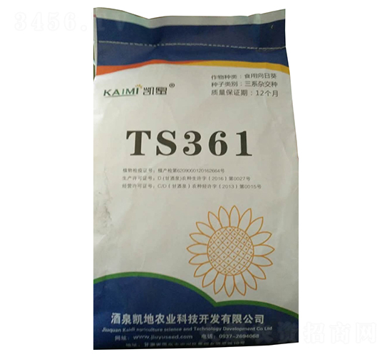 TS361向日葵種子-酒玉種業