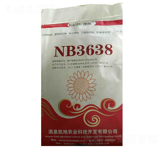 NB3638向日葵種子-酒玉種業