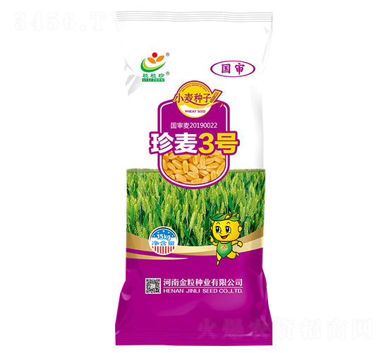 珍麥3號-小麥種子-金粒種業