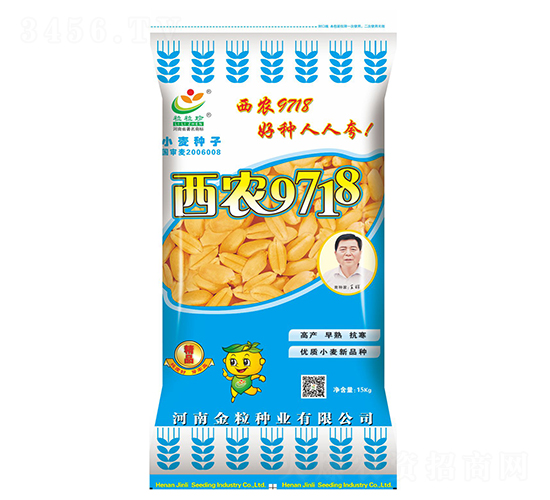 西農9718-小麥種子-金粒種業