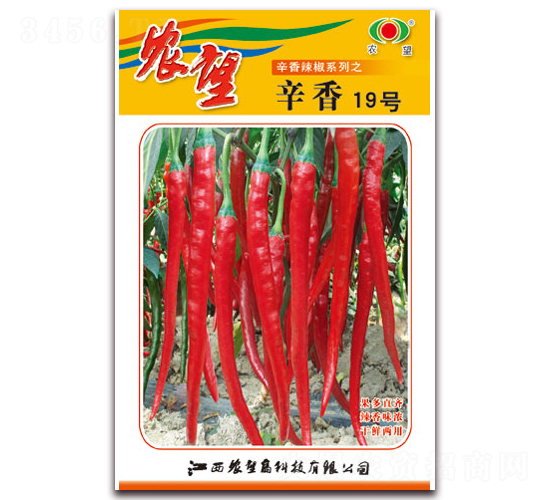 辛香19號-線椒種子-農望