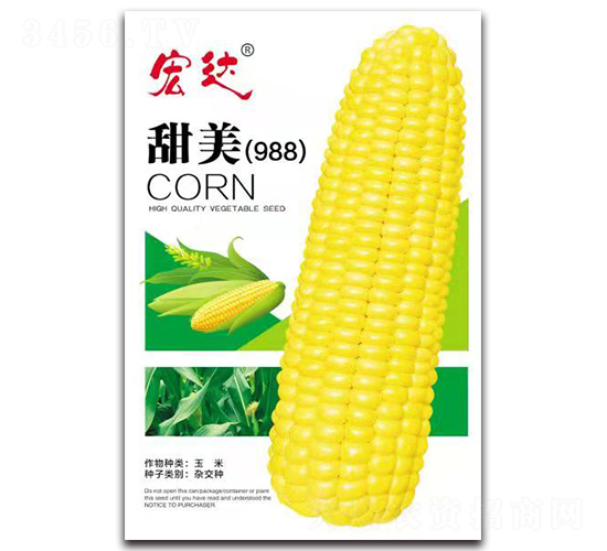 甜美988-玉米種子-宏達