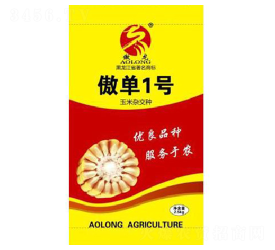 傲單1號-玉米種子-傲龍