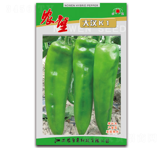 大漢K1-尖椒種子-農望
