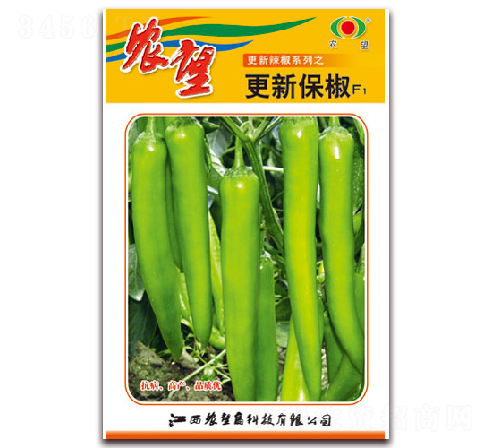 更新保椒-尖椒種子-農望