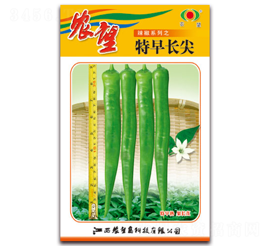 特早長尖-尖椒種子-農望