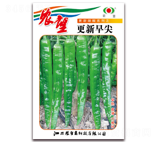 更新早尖-尖椒種子-農望