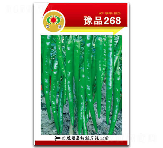 豫品268-辣椒種子-農望