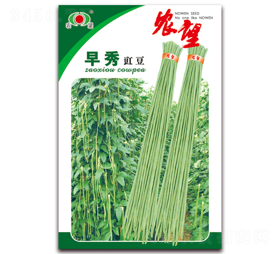 早秀-豇豆種子-農望