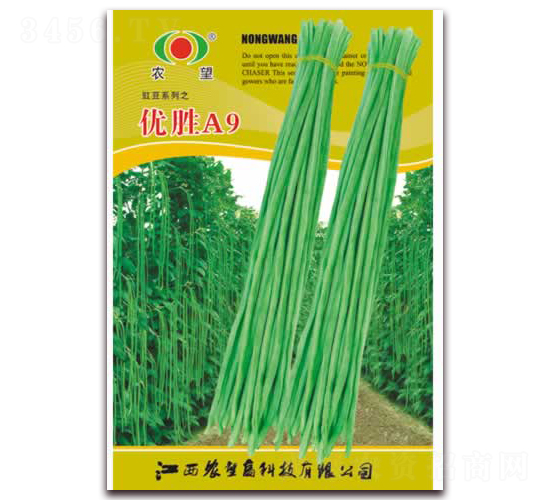 優勝A9-豇豆種子-農望
