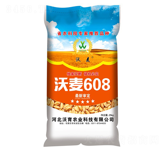 沃麥608-小麥種子-沃育農業