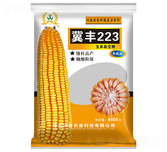 冀豐223-玉米種子-沃育農業
