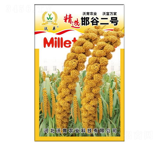 邯谷一號-水稻種子-沃育農業